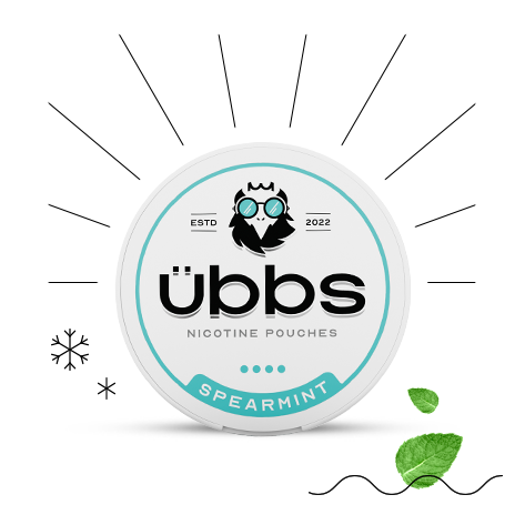 Spearmint flavoured nicotine pouches | UBBS Pouches - 2